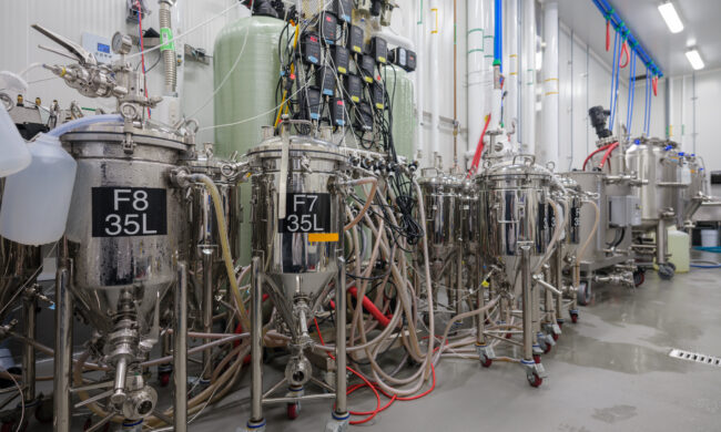 Suivie en temps réels d’indicateurs de fermentation alcoolique 29
