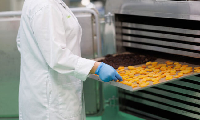 Développement de confiserie santé (jujubes) 3