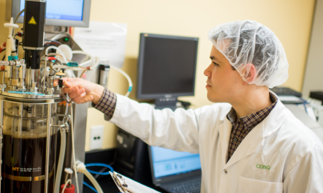 Optimisation d'une méthode de production de levures brassicoles 21