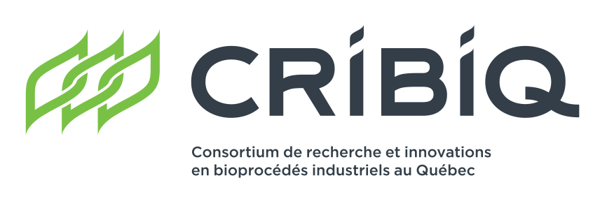 CRIBIQ 31