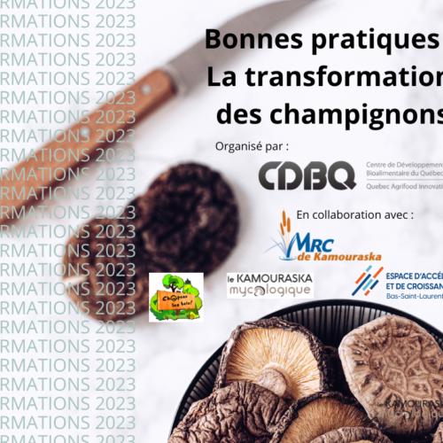 Favoriser l’innovation de produits mycologiques à haute valeur ajoutée au Bas-Saint-Laurent 159